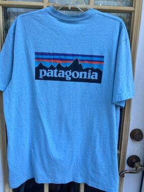 Patagonia Light Blue Short Sleeve Logo Tee with Multicolor Mountain Stripe